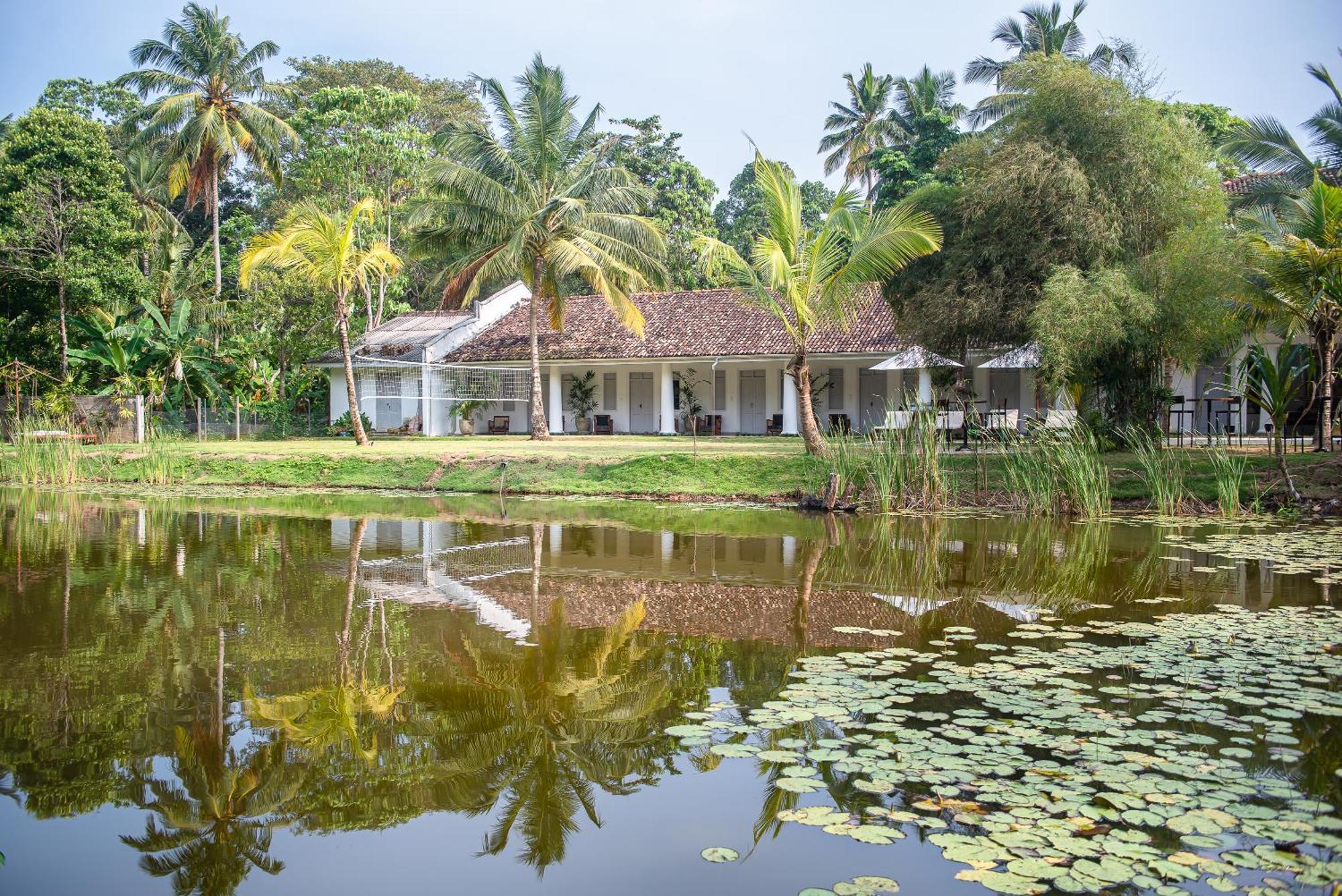 Bed and Breakfast Good Story At Nirbana Island à Ahangama Extérieur photo